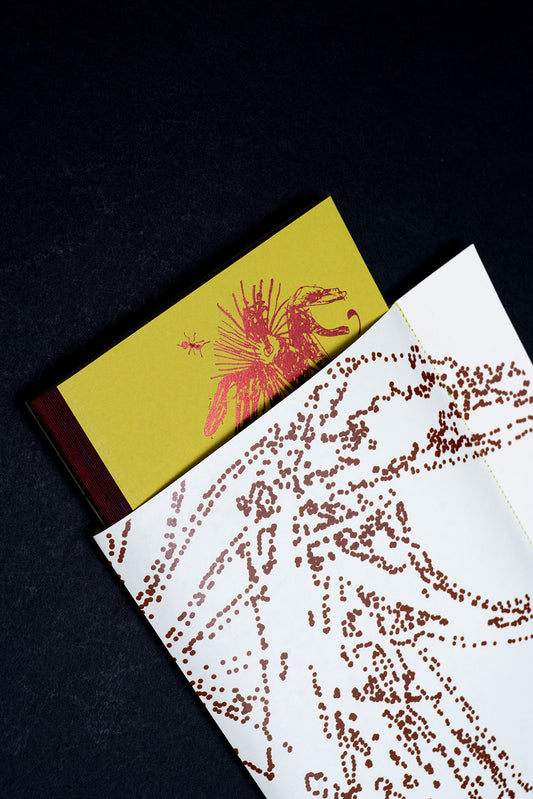 Ants, Passiflora, And Me by Lynne Shapiro (Billingual, Translated by Paola Senseve)