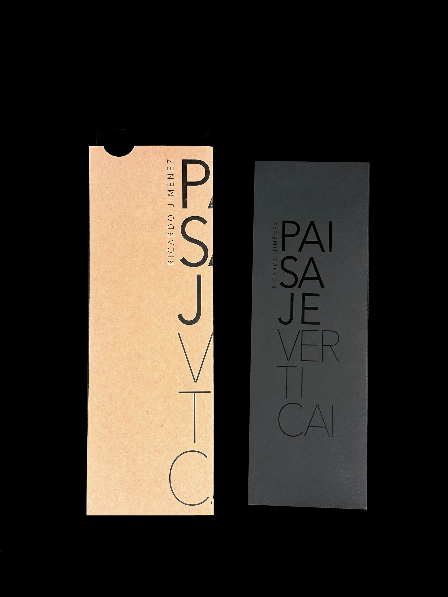 Paisaje Vertical (2018), artist photobook by Ricardo Jiménez (1951-2025)