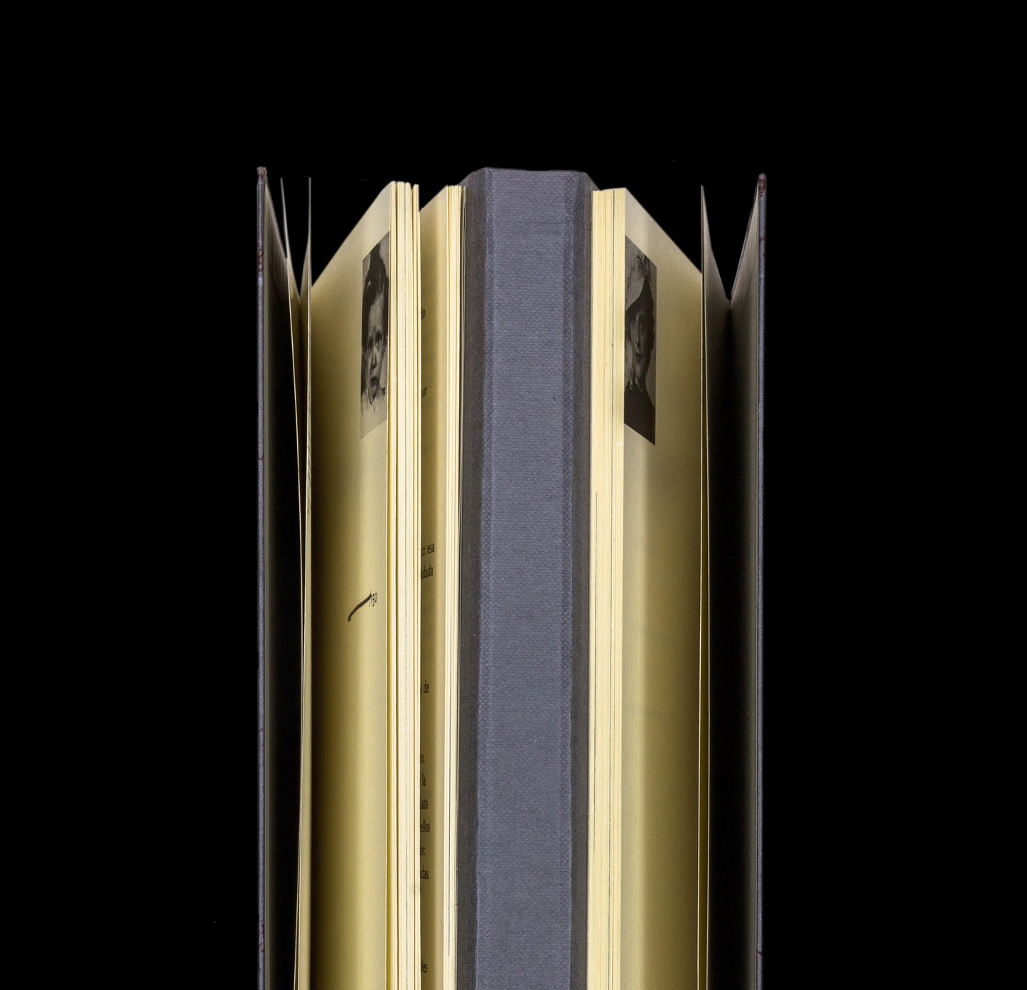 Espacios para decir lo mismo - Hanni Ossot