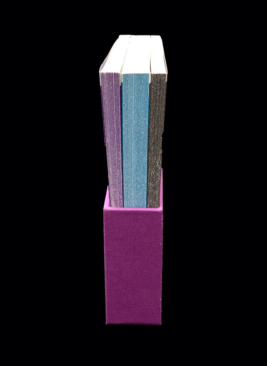 Serie Contemporáneos
