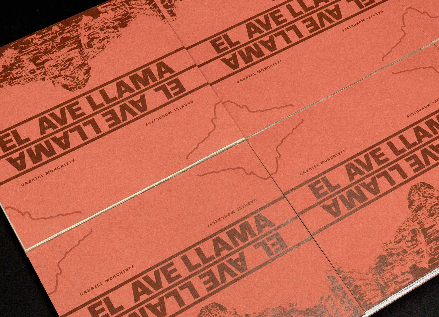 El Ave Llama - PREVENTA
