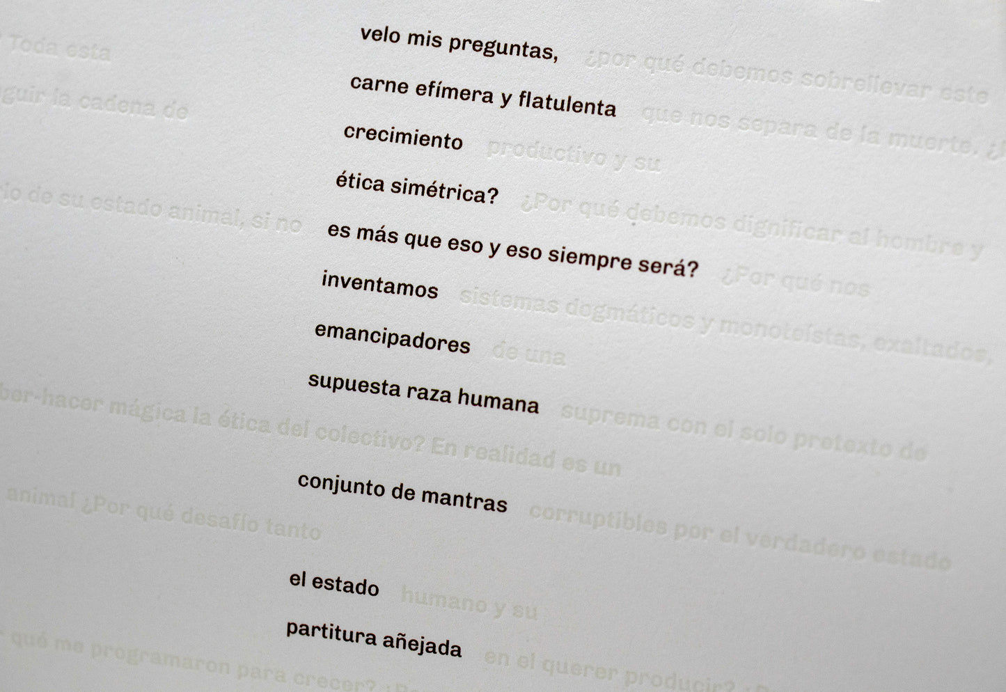 El Ave Llama - PREVENTA