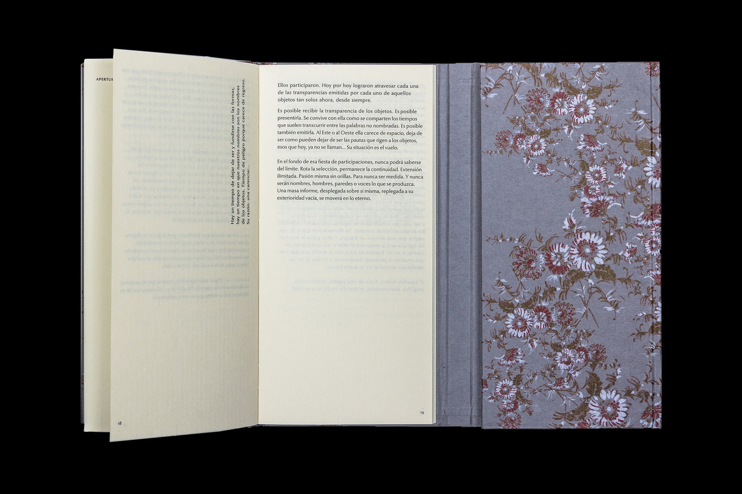 Espacios para decir lo mismo - Hanni Ossot