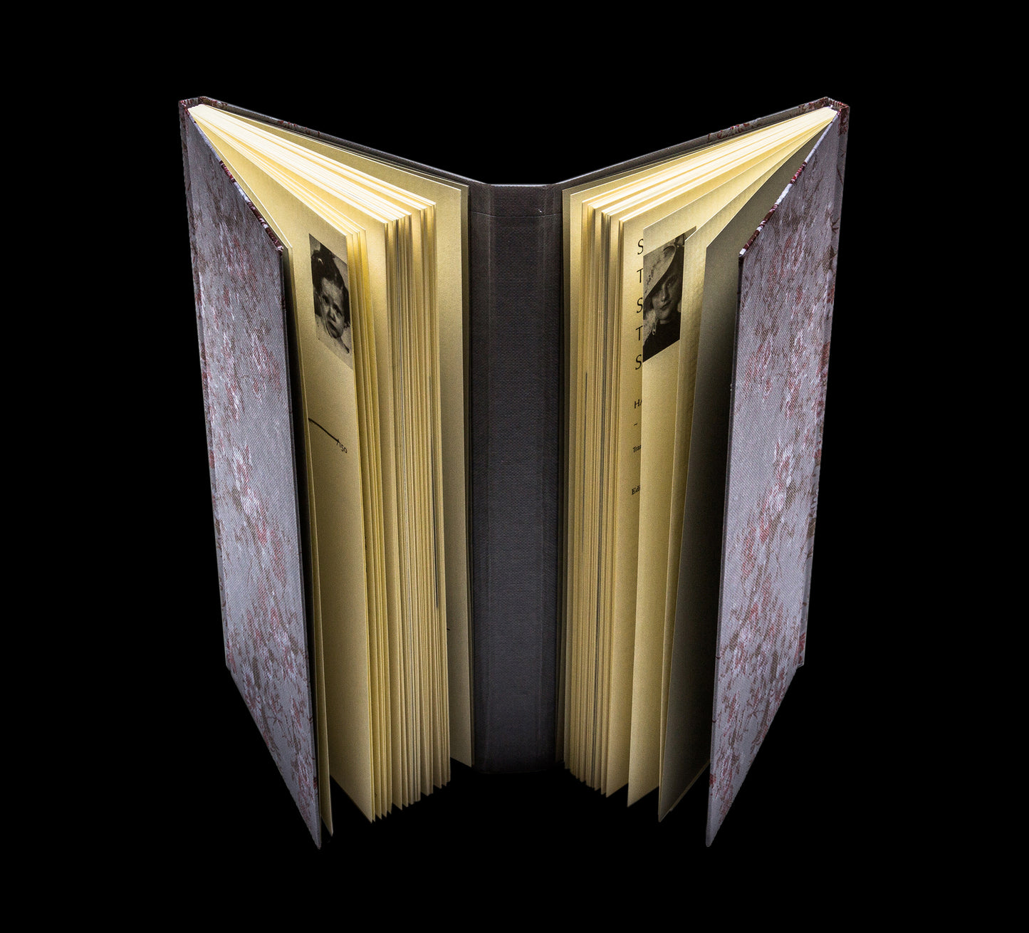 Espacios para decir lo mismo - Hanni Ossot