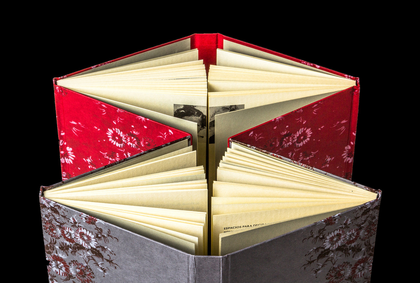 Espacios para decir lo mismo - Hanni Ossot